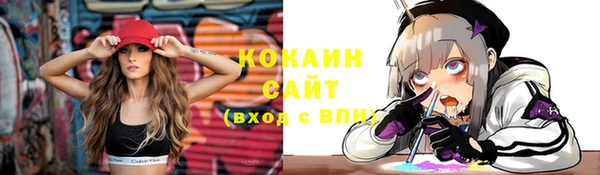 крисы Алексин