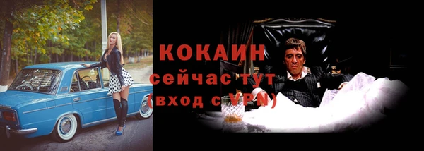 крисы Алексин