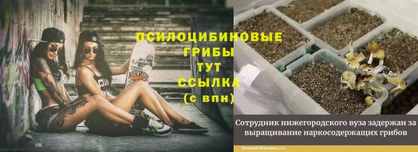 крисы Алексин
