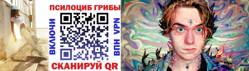 купить  сайты  Бакал  ссылка на мегу зеркало  Псилоцибиновые грибы Cubensis 