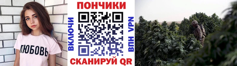 Конопля конопля  сайты даркнета формула  Бакал 